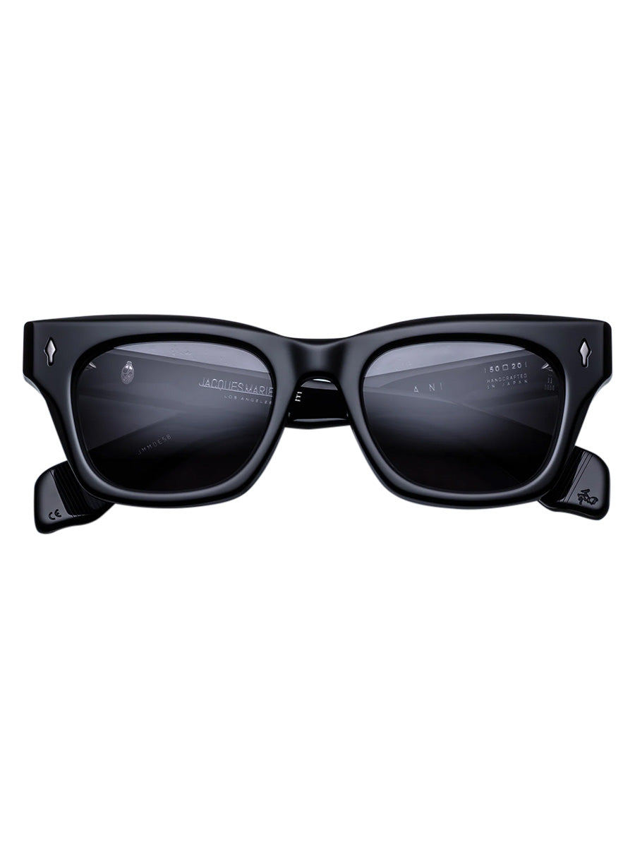 Dealan Raven sunglasses