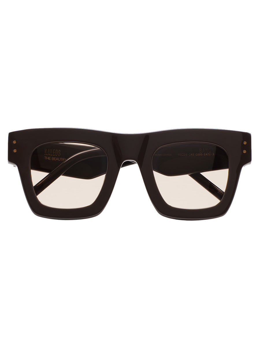 Banon 5 photochromatic sunglasses