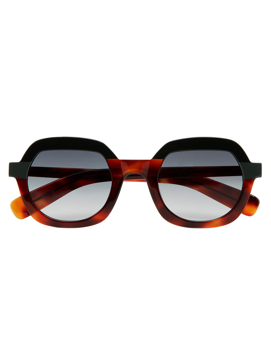 Webb 5 sunglasses